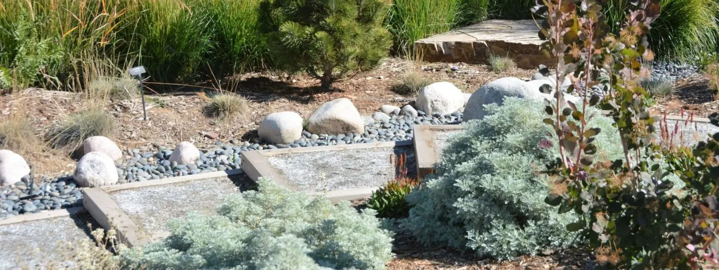 A tranquil garden in Buckeye, AZ, features a pathway lined with large, smooth white stones and bordered by lush green shrubs and plants. Tall grasses and bushes create a natural backdrop, while the pathway leads to a slightly raised stone platform surrounded by expertly installed Cactus Turf.